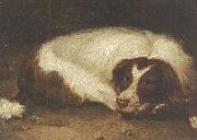 Johann Christoph Rincklake A sporting dog lying down France oil painting artist